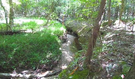 Photo of SOLD!!  8.62 Acres of Hunting and Residential Land For Sale in Lunenburg County VA!