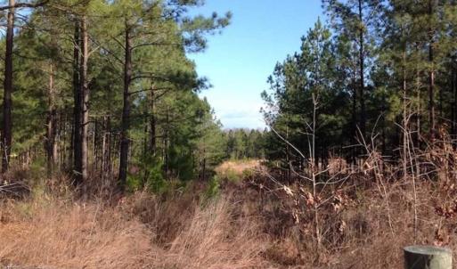 Photo of SOLD!!  54 Acres of Hunting Land for Sale in Halifax County VA!