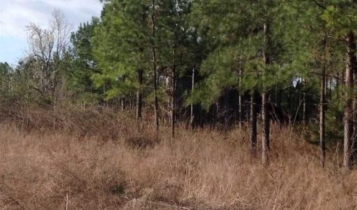 Photo of SOLD!!  54 Acres of Hunting Land for Sale in Halifax County VA!