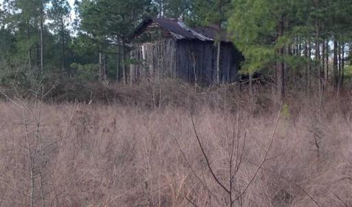 Photo of SOLD!!  54 Acres of Hunting Land for Sale in Halifax County VA!