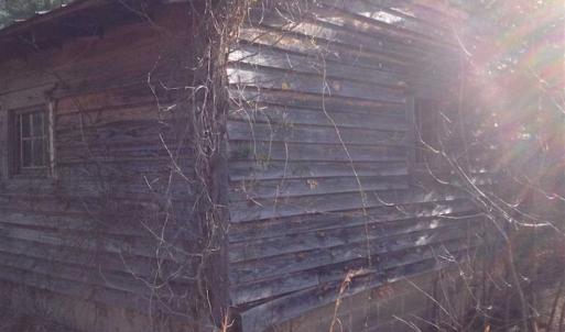 Photo of SOLD!!  54 Acres of Hunting Land for Sale in Halifax County VA!