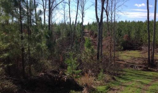 Photo of SOLD!!  54 Acres of Hunting Land for Sale in Halifax County VA!