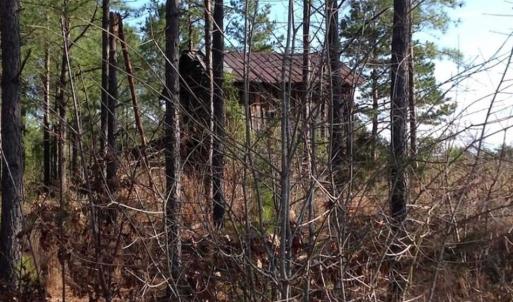 Photo of SOLD!!  54 Acres of Hunting Land for Sale in Halifax County VA!