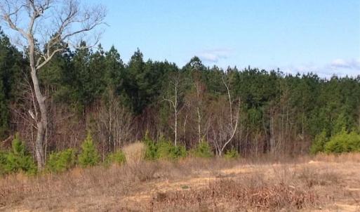 Photo of SOLD!!  54 Acres of Hunting Land for Sale in Halifax County VA!