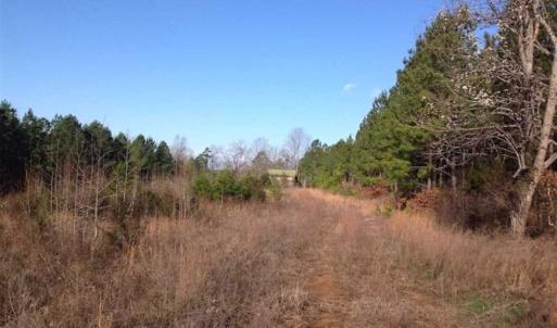 Photo of SOLD!!  54 Acres of Hunting Land for Sale in Halifax County VA!