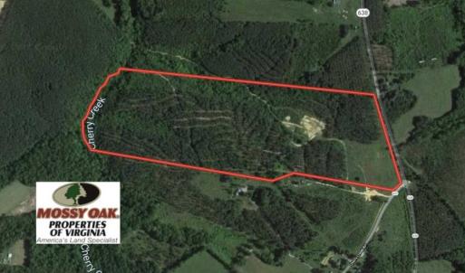 Photo of SOLD!!  54 Acres of Hunting Land for Sale in Halifax County VA!