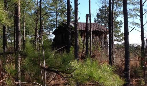 Photo of SOLD!!  54 Acres of Hunting Land for Sale in Halifax County VA!