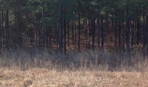 Photo of SOLD!!  54 Acres of Hunting Land for Sale in Halifax County VA!