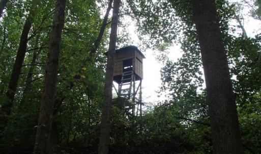 Photo of SOLD!!! 32.97 Acres of Hunting Land For Sale in Nash and Franklin County NC!