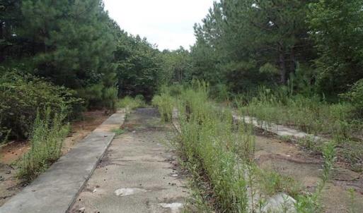 Photo of SOLD!!! 32.97 Acres of Hunting Land For Sale in Nash and Franklin County NC!