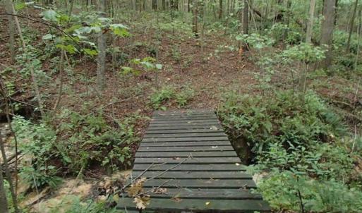 Photo of SOLD!!! 32.97 Acres of Hunting Land For Sale in Nash and Franklin County NC!