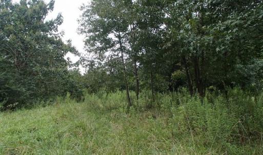 Photo of SOLD!!! 32.97 Acres of Hunting Land For Sale in Nash and Franklin County NC!