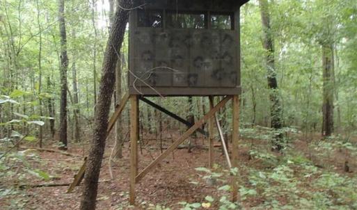 Photo of SOLD!!! 32.97 Acres of Hunting Land For Sale in Nash and Franklin County NC!