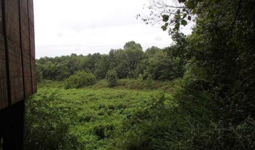 Photo of SOLD!!! 32.97 Acres of Hunting Land For Sale in Nash and Franklin County NC!