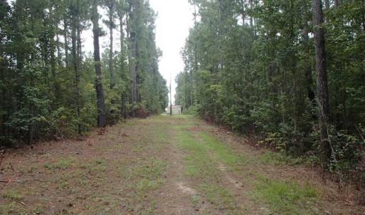 Photo of SOLD!!! 32.97 Acres of Hunting Land For Sale in Nash and Franklin County NC!