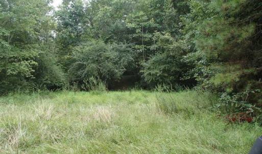 Photo of SOLD!!! 32.97 Acres of Hunting Land For Sale in Nash and Franklin County NC!