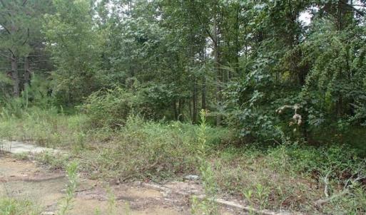 Photo of SOLD!!! 32.97 Acres of Hunting Land For Sale in Nash and Franklin County NC!