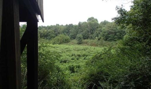 Photo of SOLD!!! 32.97 Acres of Hunting Land For Sale in Nash and Franklin County NC!