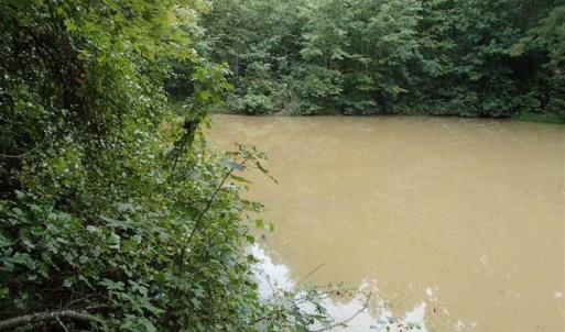 Photo of SOLD!!! 32.97 Acres of Hunting Land For Sale in Nash and Franklin County NC!