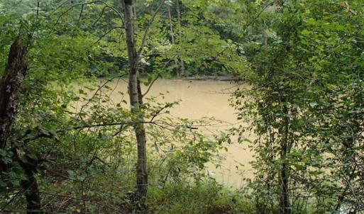 Photo of SOLD!!! 32.97 Acres of Hunting Land For Sale in Nash and Franklin County NC!