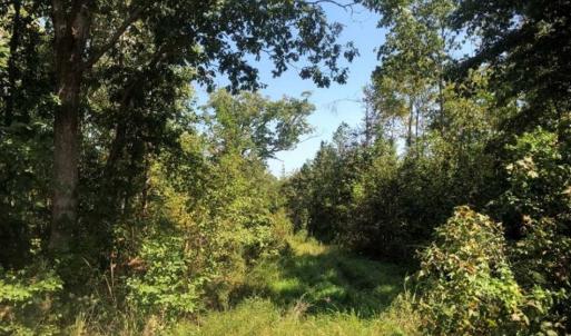Photo of SOLD!! 22 Acres of Residential and Hunting Land For Sale in Dinwiddie County VA!