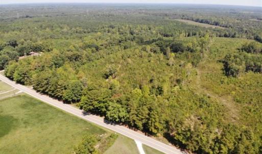 Photo of SOLD!! 22 Acres of Residential and Hunting Land For Sale in Dinwiddie County VA!