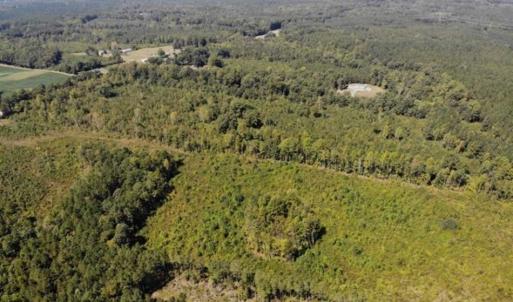 Photo of SOLD!! 22 Acres of Residential and Hunting Land For Sale in Dinwiddie County VA!