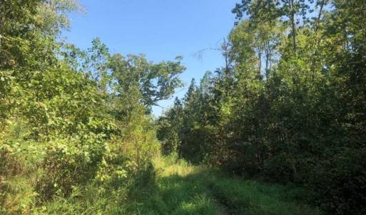 Photo of SOLD!! 22 Acres of Residential and Hunting Land For Sale in Dinwiddie County VA!
