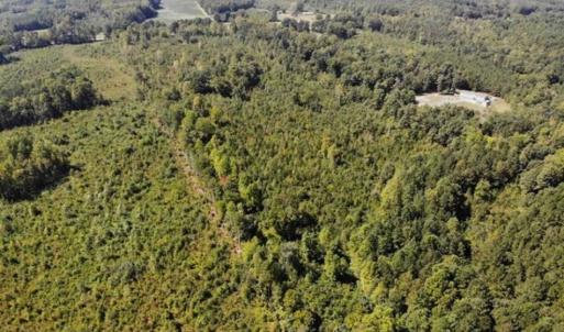 Photo of SOLD!! 22 Acres of Residential and Hunting Land For Sale in Dinwiddie County VA!