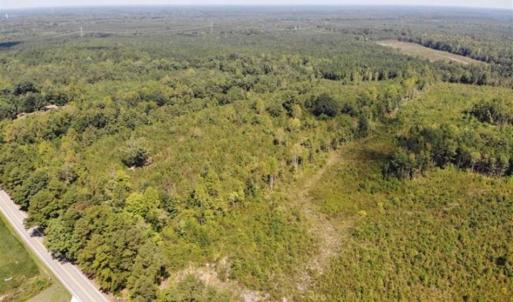 Photo of SOLD!! 22 Acres of Residential and Hunting Land For Sale in Dinwiddie County VA!
