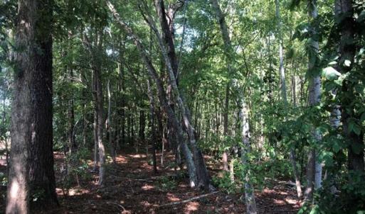 Photo of SOLD!! 22 Acres of Residential and Hunting Land For Sale in Dinwiddie County VA!