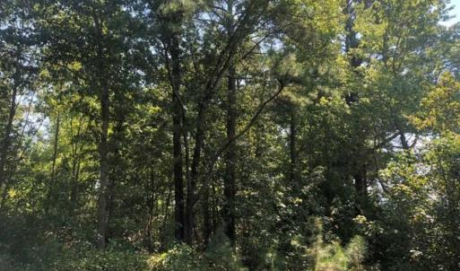 Photo of SOLD!! 22 Acres of Residential and Hunting Land For Sale in Dinwiddie County VA!