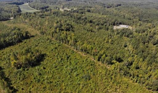 Photo of SOLD!! 22 Acres of Residential and Hunting Land For Sale in Dinwiddie County VA!