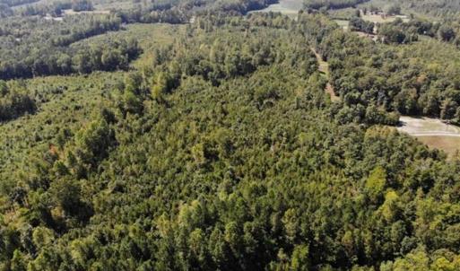 Photo of SOLD!! 22 Acres of Residential and Hunting Land For Sale in Dinwiddie County VA!