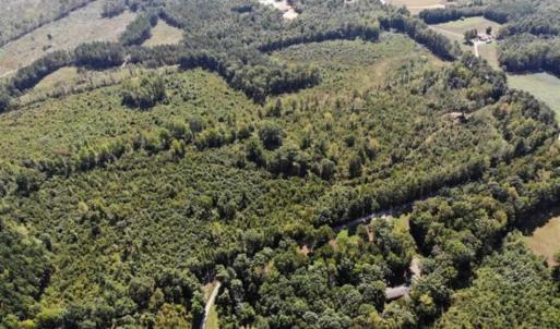 Photo of SOLD!! 22 Acres of Residential and Hunting Land For Sale in Dinwiddie County VA!