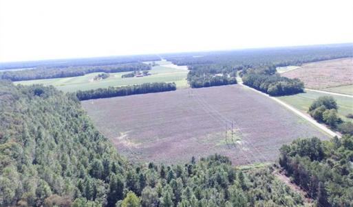 Photo of SOLD!  224 Acres of Timber and Farm Land in Suffolk County VA!
