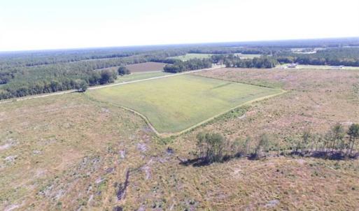 Photo of SOLD!  224 Acres of Timber and Farm Land in Suffolk County VA!