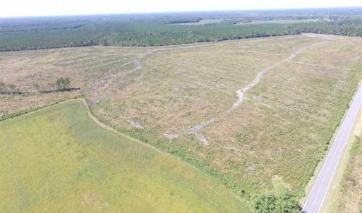 Photo of SOLD!  224 Acres of Timber and Farm Land in Suffolk County VA!