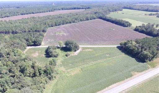 Photo of SOLD!  224 Acres of Timber and Farm Land in Suffolk County VA!