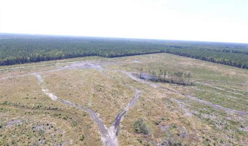Photo of SOLD!  224 Acres of Timber and Farm Land in Suffolk County VA!