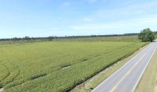Photo of SOLD!  224 Acres of Timber and Farm Land in Suffolk County VA!