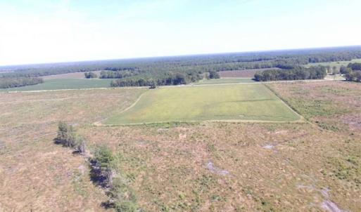 Photo of SOLD!  224 Acres of Timber and Farm Land in Suffolk County VA!
