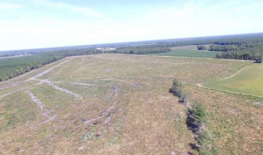 Photo of SOLD!  224 Acres of Timber and Farm Land in Suffolk County VA!