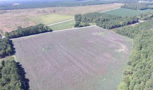 Photo of SOLD!  224 Acres of Timber and Farm Land in Suffolk County VA!