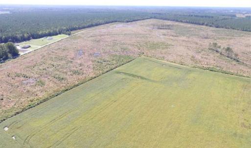 Photo of SOLD!  224 Acres of Timber and Farm Land in Suffolk County VA!