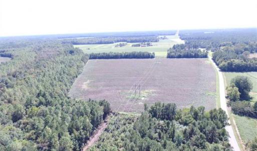 Photo of SOLD!  224 Acres of Timber and Farm Land in Suffolk County VA!