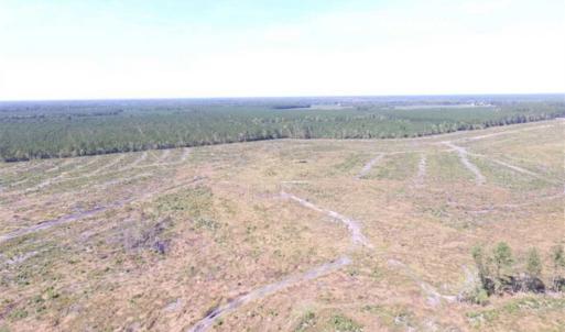 Photo of SOLD!  224 Acres of Timber and Farm Land in Suffolk County VA!