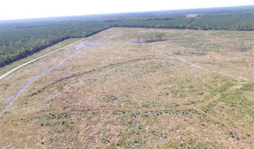Photo of SOLD!  224 Acres of Timber and Farm Land in Suffolk County VA!