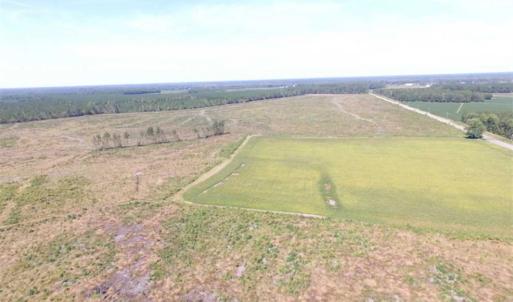 Photo of SOLD!  224 Acres of Timber and Farm Land in Suffolk County VA!