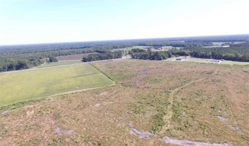 Photo of SOLD!  224 Acres of Timber and Farm Land in Suffolk County VA!